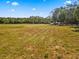 View of a large grassy field ready for livestock or development at 495 Appaloosa Rd, Tarpon Springs, FL 34688