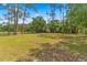 Spacious, partially wooded lot featuring open space and scattered mature trees, ideal for building at 495 Appaloosa Rd, Tarpon Springs, FL 34688