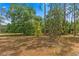 Beautifully wooded lot with a mix of trees, ready for building or enjoying nature at 495 Appaloosa Rd, Tarpon Springs, FL 34688