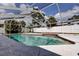 Sparkling screened pool with surrounding deck, white framework, and well-manicured landscaping at 6421 Wilshire Dr, Tampa, FL 33615