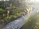 A wooden boardwalk and dock extending into the water, surrounded by lush greenery at 6903 11Th Ave E, Palmetto, FL 34221