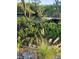 Scenic waterfront with lush greenery, offering a serene and natural setting at 6903 11Th Ave E, Palmetto, FL 34221