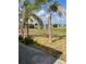 Enjoy this beautiful backyard with lake views and a relaxing atmosphere with palm trees at 904 Desert Hills Dr, Sun City Center, FL 33573