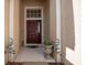 Elegant front entryway featuring a stylish door, decorative columns, and a welcoming ambiance at 11021 Silver Dancer Dr, Riverview, FL 33579
