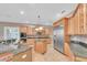 Large kitchen with granite countertops, stainless steel appliances, and custom wood cabinets at 12002 Hope Ln, Tampa, FL 33618
