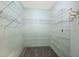 Walk-in closet with metal storage at 12002 Hope Ln, Tampa, FL 33618
