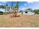 Backyard featuring green space, tropical plants and a lake at 12119 Buffington Ln, Riverview, FL 33579