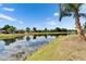 Scenic view of a calm pond reflecting the sky, surrounded by lush greenery and a palm tree at 12119 Buffington Ln, Riverview, FL 33579
