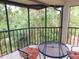 Enclosed lanai with a comfortable chair overlooking mature landscaping at 124 Woodlake Wynde, Oldsmar, FL 34677