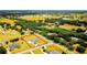 Expansive property showcasing a lush landscape with mature trees, a charming neighborhood, and nearby ponds at 13338 Jaudon Ranch Rd, Dover, FL 33527