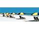 Sunny beach view with colorful umbrellas and lounge chairs at 3010 Beecher E Dr # A, Palm Harbor, FL 34683