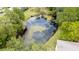 Overhead shot of a pond with algae, as well as many surrounding trees at 3038 Eastland Blvd # F102, Clearwater, FL 33761