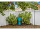 Garden area featuring a decorative turquoise fountain surrounded by lush greenery, creating a serene atmosphere at 3245 Freemont S Ter, St Petersburg, FL 33712
