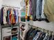 Organized walk-in closet with clothing racks, shelves, and drawers, maximizing storage efficiency and accessibility at 3245 Freemont S Ter, St Petersburg, FL 33712