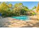 Community pool surrounded by lush landscaping and lounge chairs at 8423 Edgewater Place Blvd, Tampa, FL 33615