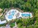 Aerial view of community swimming pool, sun loungers, and surrounding palm trees at 16866 Balance Cv, Land O Lakes, FL 34638