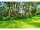 Picture of a large, green, lush backyard with wooded area beyond the grass at 1936 Heron Cove Dr # 104, Lutz, FL 33549