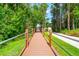 A community boardwalk leading to the lake through lush greenery and tall trees at 1936 Heron Cove Dr # 104, Lutz, FL 33549