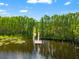 Aerial shot of a community dock and lake surrounded by lush greenery and tall trees at 1936 Heron Cove Dr # 104, Lutz, FL 33549