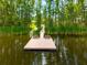 A charming community dock featuring seating for peaceful enjoyment of the lake view at 1936 Heron Cove Dr # 104, Lutz, FL 33549
