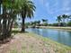 Scenic water view featuring swaying palm trees and serene waterfront tranquility at 2333 Feather Sound Dr # B309, Clearwater, FL 33762