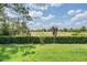 Lush green lawn with well-maintained landscaping and a view of the natural surroundings, creating a serene outdoor space at 32242 Summerglade Dr, Wesley Chapel, FL 33545