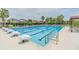 Community lap pool showcasing clear water, lane lines, palm trees, shade structures, and ample lounge seating at 32242 Summerglade Dr, Wesley Chapel, FL 33545