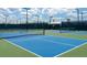 Well-maintained tennis court with professional surfacing and lighting for day or night play at 4914 Sienna Isles Ave, Wimauma, FL 33598