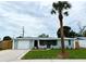 Charming single-story home with a well-manicured lawn and a lovely palm tree in the front yard at 9005 Rainbow Ln, Port Richey, FL 34668