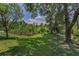 Spacious backyard featuring banana trees, a hammock, and lush greenery, perfect for relaxation at 9208 Brindlewood Dr, Odessa, FL 33556