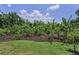 Beautiful backyard with lush landscaping featuring banana trees and greenery at 9208 Brindlewood Dr, Odessa, FL 33556