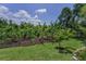 Landscaped backyard with banana trees and green grass, offering a tropical feel and natural beauty at 9208 Brindlewood Dr, Odessa, FL 33556