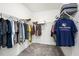 Spacious walk-in closet with ample hanging space, shelving, and carpeting at 10098 Banyan Breeze Blvd, Land O Lakes, FL 34638