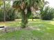 Expansive backyard with lush greenery and a towering palm tree providing ample shade at 12907 N 53Rd St, Temple Terrace, FL 33617