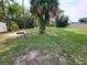 Spacious backyard with a palm tree, offering plenty of room for outdoor activities at 12907 N 53Rd St, Temple Terrace, FL 33617