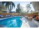 Outdoor living with a refreshing pool, lounge chairs, and lush landscaping for ultimate relaxation at 1394 Stonehenge Way, Palm Harbor, FL 34683