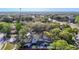 An aerial view of the property showcasing lush greenery and mature trees at 14611 Pine Glen Cir, Lutz, FL 33559