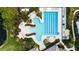 Aerial view of a community pool featuring palm trees, lounge chairs, and geometric design at 14648 Bournemouth Rd, Tampa, FL 33626