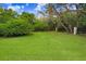 Lush green backyard with mature trees offering plenty of space at 14910 Tom Fazio Ct, Tampa, FL 33626
