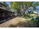 Expansive backyard with a wooden playset beneath a large tree offers a serene outdoor space at 18712 Lakeshore Dr, Lutz, FL 33549