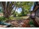 Backyard featuring mature trees and landscaping near the lake at 18712 Lakeshore Dr, Lutz, FL 33549
