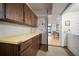 Practical laundry room with dark wooden cabinets, a yellow countertop, and carpet flooring at 18712 Lakeshore Dr, Lutz, FL 33549