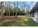 Expansive backyard featuring lush green grass and mature trees at 200 Pinewinds Blvd, Oldsmar, FL 34677