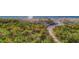 Beach access path through the dunes and vegetation provides a way to reach the ocean at 2504 Gulf Blvd # 201, Indian Rocks Beach, FL 33785