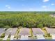 Aerial view of the neighborhood homes and landscape at 31105 Whitlock Dr, Wesley Chapel, FL 33543