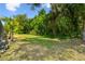 Lush backyard featuring mature trees and tropical landscaping, enhancing the natural beauty of the property at 31105 Whitlock Dr, Wesley Chapel, FL 33543