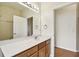 Bathroom vanity featuring ample counter space and storage, complemented by modern fixtures and a well-lit mirror at 31105 Whitlock Dr, Wesley Chapel, FL 33543