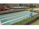 Overhead shot of community shuffleboard court area at 31105 Whitlock Dr, Wesley Chapel, FL 33543