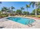 Beautiful community pool with brick surround, palm trees, and several chairs for lounging at 3429 Heards Ferry Dr, Tampa, FL 33618