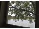 Tranquil view of a lake through a window, framed by the branches of a mature tree at 3861 Sailmaker Ln # 3861, Holiday, FL 34691